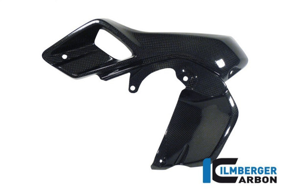 Ilmberger Carbon Windkanal links passend für BMW R1200GS LC