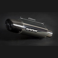 Bodis Q1 Endschalldämpfer passend für Honda CBR 600 RR 2005-2006 Bodis Q1 Endschalldämpfer passend für Honda CBR 600 RR 2005-2006