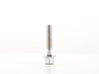 FK Automotive Radschrauben Set M12x1,5 Kegelbund chrom (8 Stk., 43 mm Schaftlänge) FK Automotive Radschrauben Set M12x1,5 Kegelbund chrom (8 Stk., 43 mm Schaftlänge)