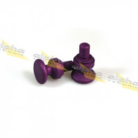 FG Alu-Aufnahmebuchsensatz M12 x 1,25 mm passend für Kawasaki ZX6R FG Alu-Aufnahmebuchsensatz M12 x 1,25 mm passend für Kawasaki ZX6R