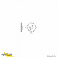 Ritzel 14 Zähne Teilung 420 passend für Derbi, Gilera Ritzel 14 Zähne Teilung 420 passend für Derbi, Gilera