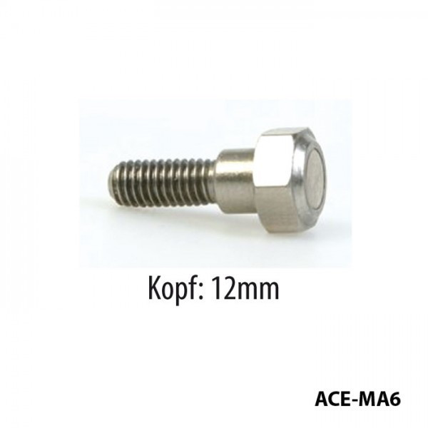 Bremsscheibenschrauben mit Magnet für Yamaha M6 x 1,00 x 25 mm | Kopf 12 mm