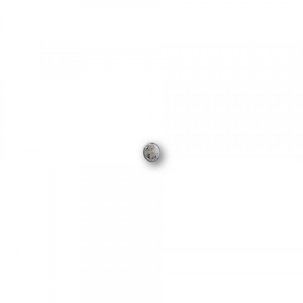 SHIN YO Micro-Oval LED Blinker-Modul Linse Rauchgrau, E-geprüft, vorn & hinten