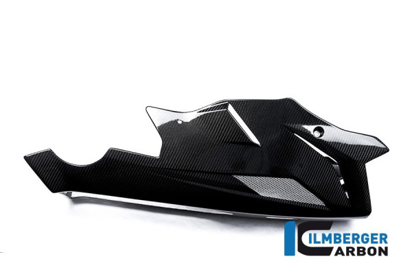 Ilmberger Carbon Motorspoiler passend für BMW S1000R
