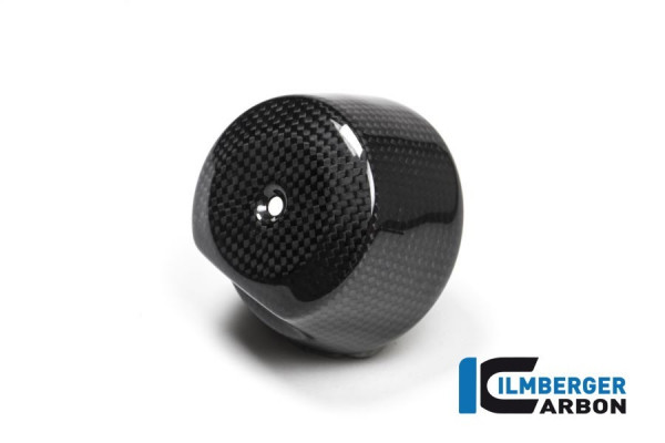 Ilmberger Carbon Armaturengehäuse passend für BMW R nineT Scrambler
