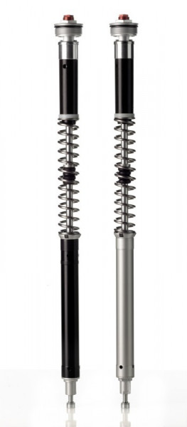 Wilbers Open Cartridge-Set C30R passend für BMW F 900 XR 2020- Tieferlegung 25 mm