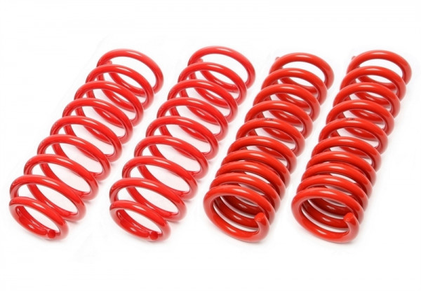 TA Technix Tieferlegungsfedern 30/30mm passend für Mercedes Benz E-Klasse W211