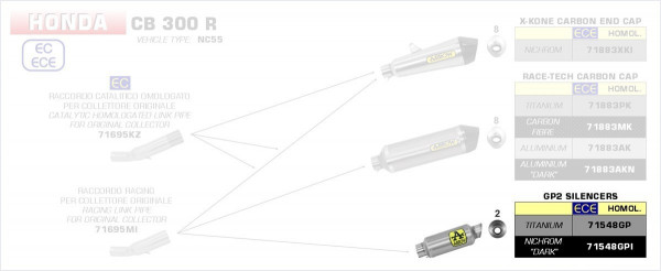 Arrow GP2 Dark Endschalldämpfer passend für Honda CB 300 R (2018–2020)