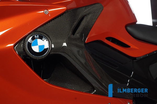Ilmberger Carbon Verkleidungsseitenteil links passend für BMW F800GT