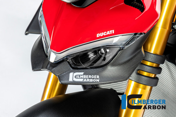 Ilmberger Carbon Verkleidungsoberteil unten matt für Ducati Streetfighter V4 2020-
