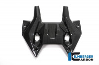 Ilmberger Carbon Cockpitabdeckung passend für BMW R1200RS LC Ilmberger Carbon Cockpitabdeckung passend für BMW R1200RS LC