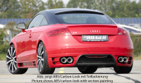 Rieger Heckansatz carbon look für Audi TT (8J) Coupé 09.06-06.10 (bis Facelift)