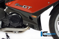 Ilmberger Carbon Verkleidungsunterteil Abdeckung rechts passend für BMW F800GT Ilmberger Carbon Verkleidungsunterteil Abdeckung rechts passend für BMW F800GT
