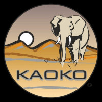 Kaoko Gasgriff-Arretierung Drive Control passend für Ducati Multistrada 1200 Kaoko Gasgriff-Arretierung Drive Control passend für Ducati Multistrada 1200