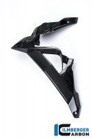 Ilmberger Carbon Wasserkühlerabdeckung links passend für BMW S1000R Ilmberger Carbon Wasserkühlerabdeckung links passend für BMW S1000R