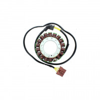 ELECTROSPORT Stator ESG999 passend für Aprilia RSV R 1000/Factory (04-09) ELECTROSPORT Stator ESG999 passend für Aprilia RSV R 1000/Factory (04-09)