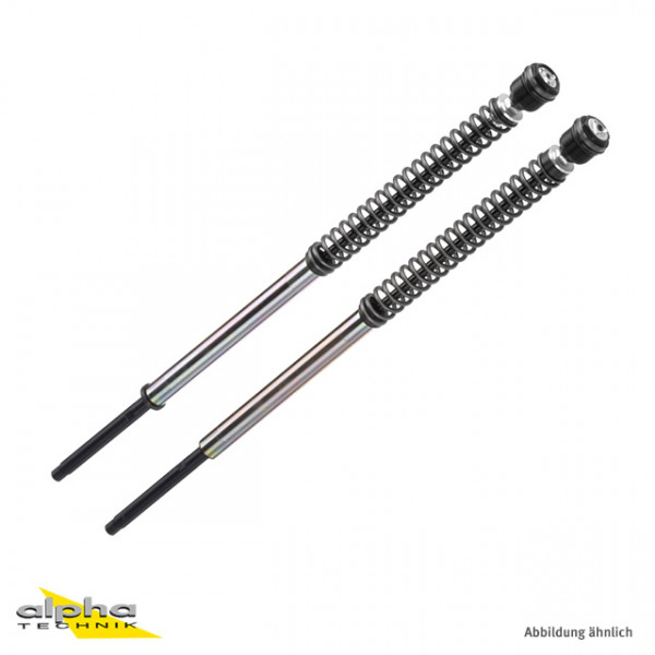 BITUBO JBH Gabeldämpfer-Kit passend für Harley Davidson