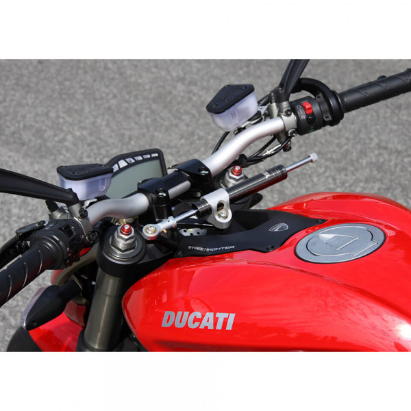 LSL Lenkungsdämpfer Kit DUCATI Streetfighter, titan