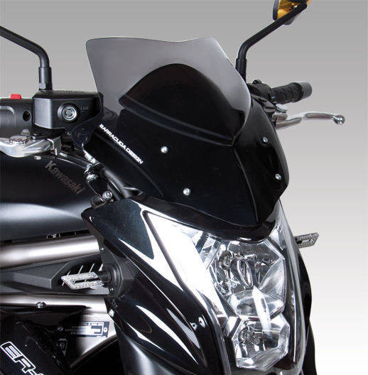 Barracuda Kennzeichenhalter für Kawasaki ER6-N 2012-2016