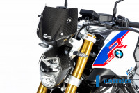 Ilmberger Carbon Windschild passend für BMW R1250R R1250RS Ilmberger Carbon Windschild passend für BMW R1250R R1250RS