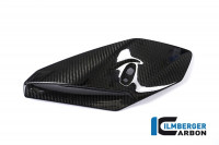Ilmberger Carbon Seitliche Abdeckung rechts passend für BMW S1000R Ilmberger Carbon Seitliche Abdeckung rechts passend für BMW S1000R