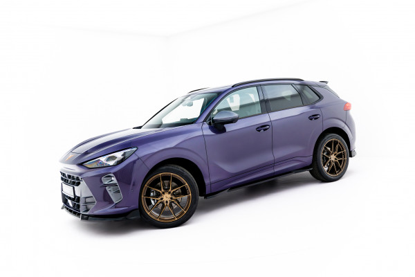 Seitenschweller Ansatz passend für Cupra Terramar Mk1