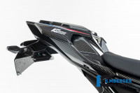 Ilmberger Carbon Heckverkleidung Mittelteil passend für BMW S1000R / M1000R Ilmberger Carbon Heckverkleidung Mittelteil passend für BMW S1000R / M1000R