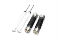 TA Technix Luftdämpfersatz Hinterachse passend für Audi A3, TT / Seat Leon / Skoda Octavia, Superb / TA Technix Luftdämpfersatz Hinterachse passend für Audi A3, TT / Seat Leon / Skoda Octavia, Superb /