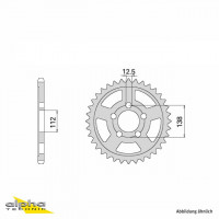 Kettenrad Stahl 44 Zähne Teilung 530 schwarz passend für Honda CBR1100XX Kettenrad Stahl 44 Zähne Teilung 530 schwarz passend für Honda CBR1100XX