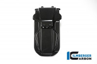 Ilmberger Carbon Backplate passend für BMW S1000XR Ilmberger Carbon Backplate passend für BMW S1000XR