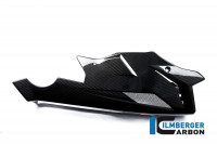 Ilmberger Carbon Motorspoiler passend für BMW S1000R Ilmberger Carbon Motorspoiler passend für BMW S1000R