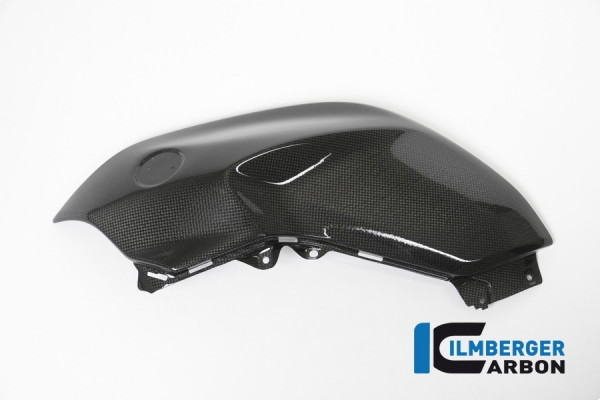 Ilmberger Carbon Tankseitenteil links passend für BMW R1200R (LC)