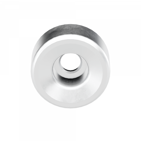 LSL PACE-X Farbinlay für PACE Lenkergewichte silber