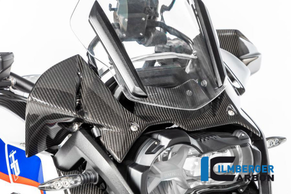 Ilmberger Carbon Windabweiser am Cockpit passend für BMW R1250GS