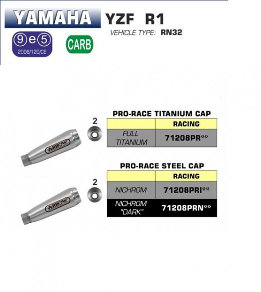 Arrow Endschalldämpfer Race-Tech Titan, Homologiert Yamaha YZF 100