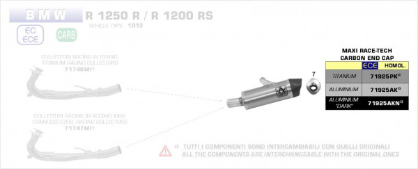 Arrow Maxi Race-Tech Endschalldämpfer passend für BMW R 1250 R/RS 19-20