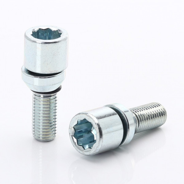 Satz 20 Silberne Vielzahn-/Torx Radschrauben 12x1,5