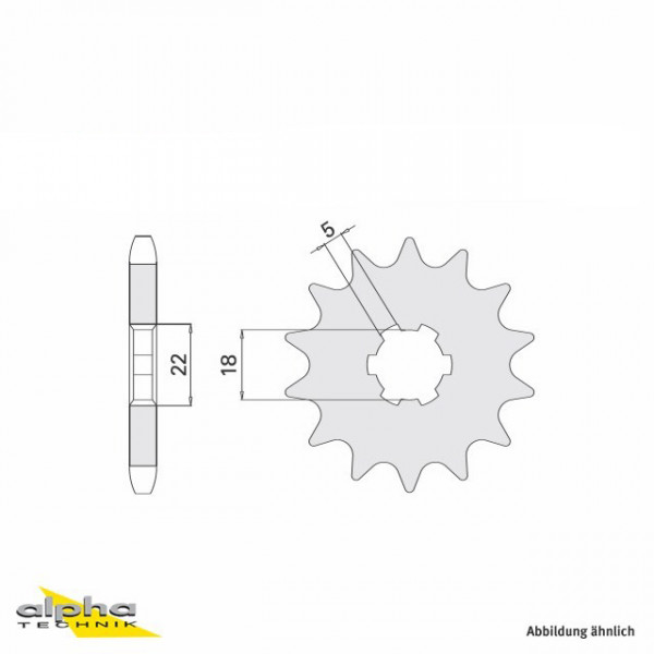 Ritzel 13 Zähne Teilung 520