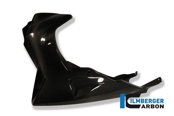 Ilmberger Carbon Motorspoiler passend für BMW K1200R/K1300R