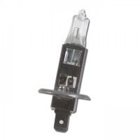 Hauptscheinwerferlampe 12V 35W H1 P14,5s Ø=8,5 x 67,5 mm E-geprüft passend für Suzuki und Kawasaki Hauptscheinwerferlampe 12V 35W H1 P14,5s Ø=8,5 x 67,5 mm E-geprüft passend für Suzuki und Kawasaki