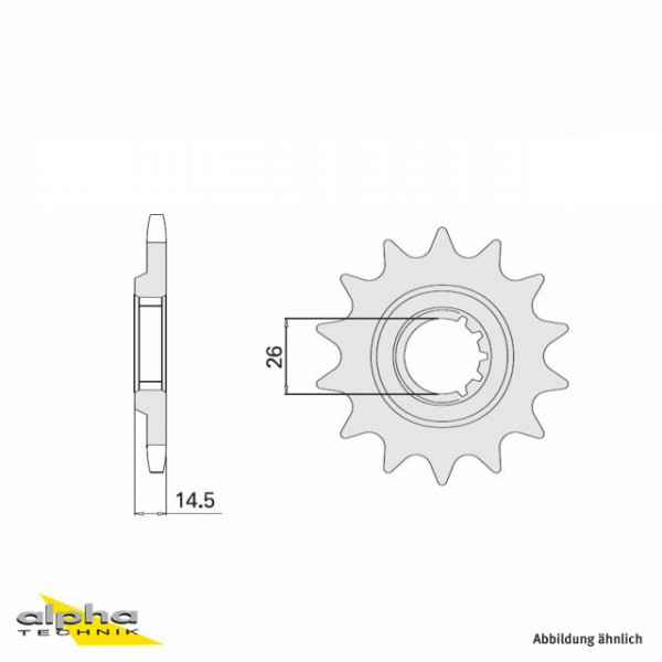 Ritzel 15 Zähne Teilung 630