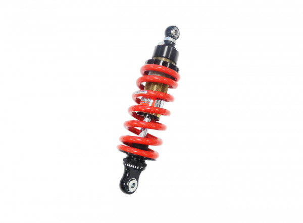 BITUBO Federbein für Triumph Speed Triple 855i T509 und Speed Triple 955i 595N