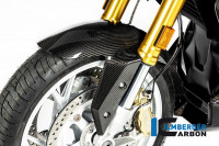 Ilmberger Carbon Kotflügel vorne passend für BMW R1250R R1250RS ab 2019 Ilmberger Carbon Kotflügel vorne passend für BMW R1250R R1250RS ab 2019