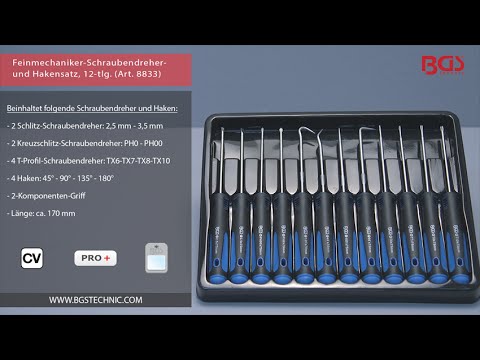 Feinmechaniker-Schraubendreher und Haken-Satz 12-tlg.